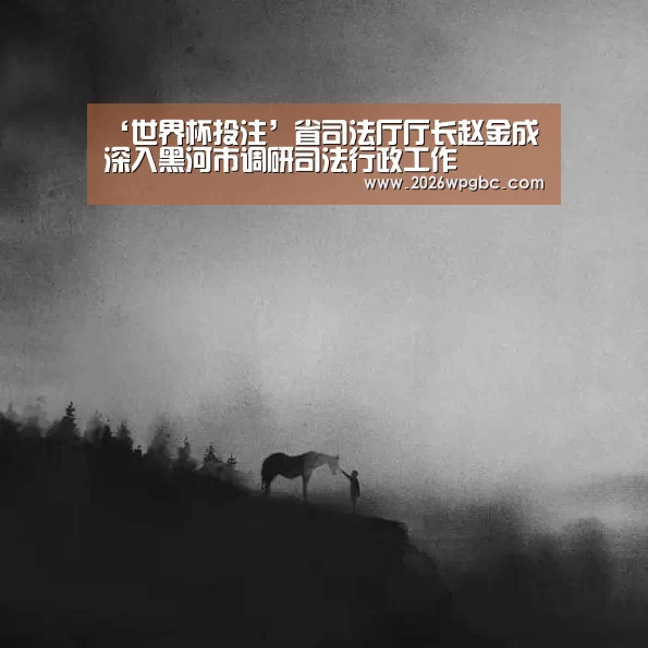 ‘世界杯投注’省司法厅厅长赵金成 深入黑河市调研司法行政工作