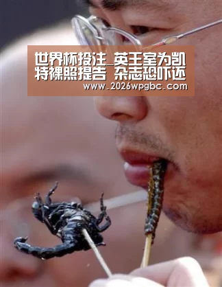 世界杯投注