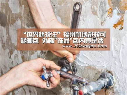 “世界杯投注”福州机场截获可疑邮包   外标
