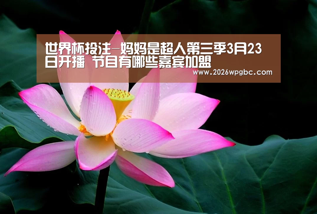世界杯投注
